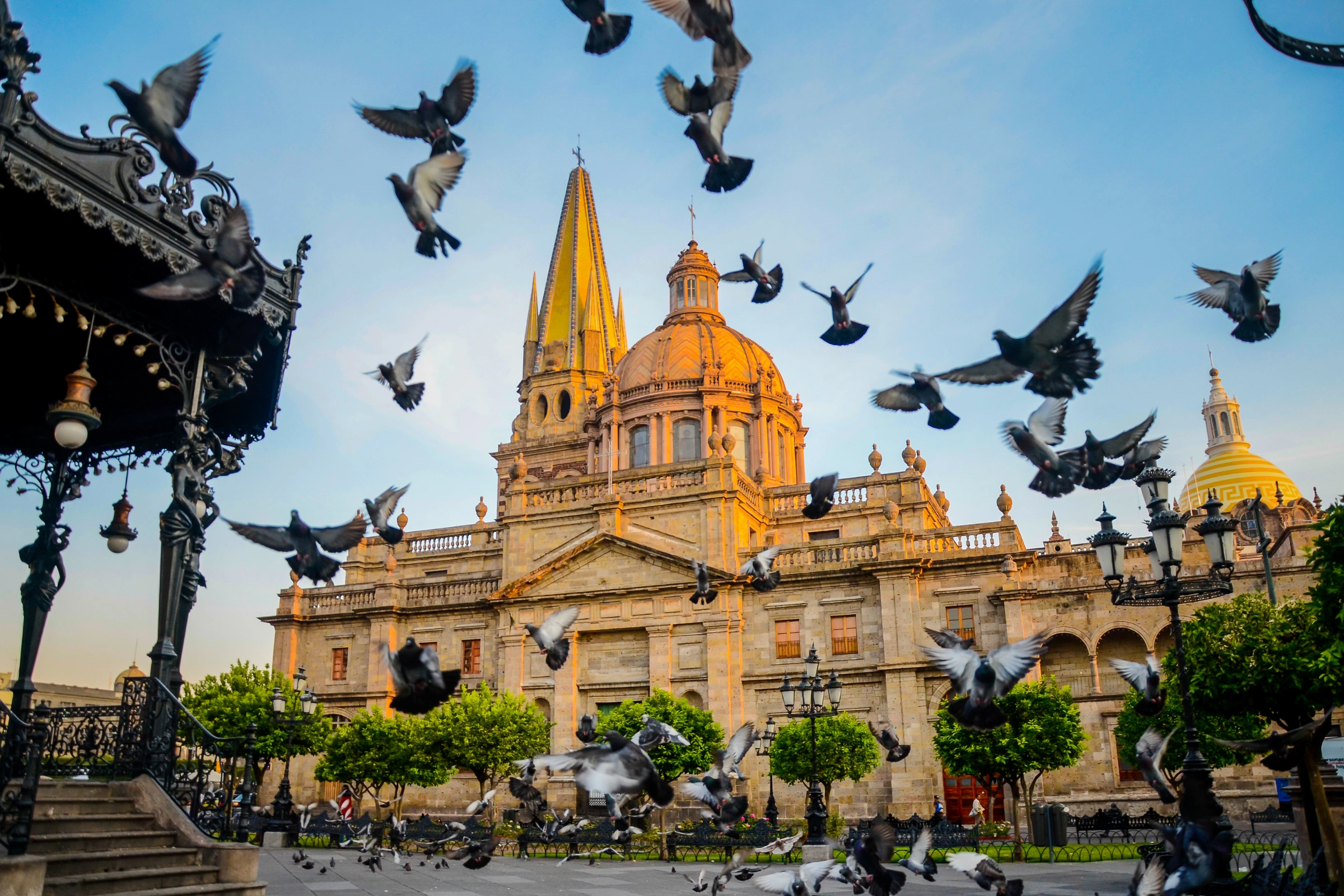 Guadalajara[1].webp